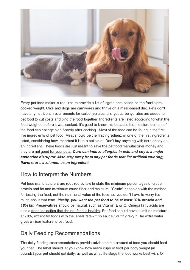 Tips For Choosing A Healthy Pet Food