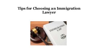 Tips for Choosing an Immigration
Lawyer
 
