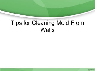 Tips for Cleaning Mold From
            Walls
 