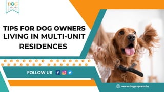 TIPS FOR DOG OWNERS
LIVING IN MULTI-UNIT
RESIDENCES
www.dogexpress.in
FOLLOW US
 