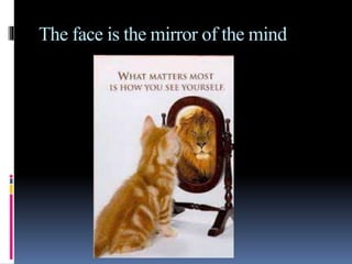 The face is the mirror of the mind
 