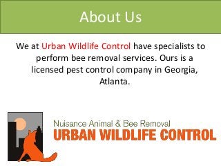 About Us
We at Urban Wildlife Control have specialists to
perform bee removal services. Ours is a
licensed pest control company in Georgia,
Atlanta.
 
