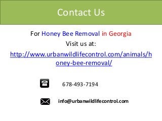 Contact Us
For Honey Bee Removal in Georgia
Visit us at:
http://www.urbanwildlifecontrol.com/animals/h
oney-bee-removal/
678-493-7194
info@urbanwildlifecontrol.com
 