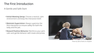 Pet Video Introduction Tips for Introducing Your Pet to Your New Baby | PDF