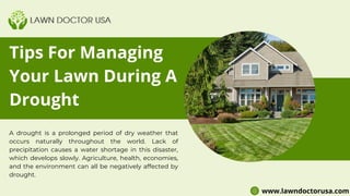 Tips For Managing
Your Lawn During A
Drought
A drought is a prolonged period of dry weather that
occurs naturally throughout the world. Lack of
precipitation causes a water shortage in this disaster,
which develops slowly. Agriculture, health, economies,
and the environment can all be negatively affected by
drought.
www.lawndoctorusa.com
 