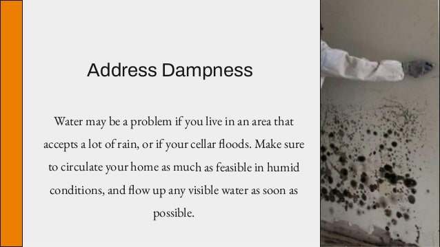 Address Dampness
Water may be a problem if you live in an area that
accepts a lot of rain, or if your cellar floods. Make sure
to circulate your home as much as feasible in humid
conditions, and flow up any visible water as soon as
possible.
 