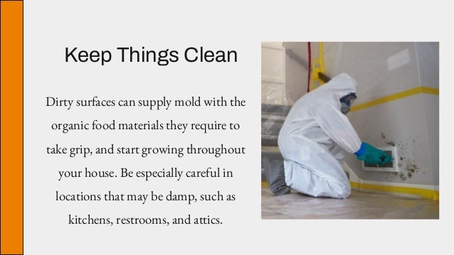 Keep Things Clean
Dirty surfaces can supply mold with the
organic food materials they require to
take grip, and start growing throughout
your house. Be especially careful in
locations that may be damp, such as
kitchens, restrooms, and attics.
 