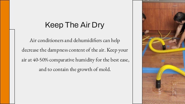 Keep The Air Dry
Air conditioners and dehumidifiers can help
decrease the dampness content of the air. Keep your
air at 40-50% comparative humidity for the best ease,
and to contain the growth of mold.
 