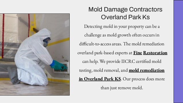 Mold Damage Contractors
Overland Park Ks
Detecting mold in your property can be a
challenge as mold growth often occurs in
difficult-to-access areas. The mold remediation
overland park-based experts at Fine Restoration
can help. We provide IICRC certified mold
testing, mold removal, and mold remediation
in Overland Park KS. Our process does more
than just remove mold.
 