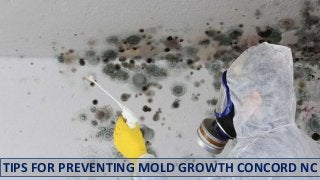 TIPS FOR PREVENTING MOLD GROWTH CONCORD NC
 