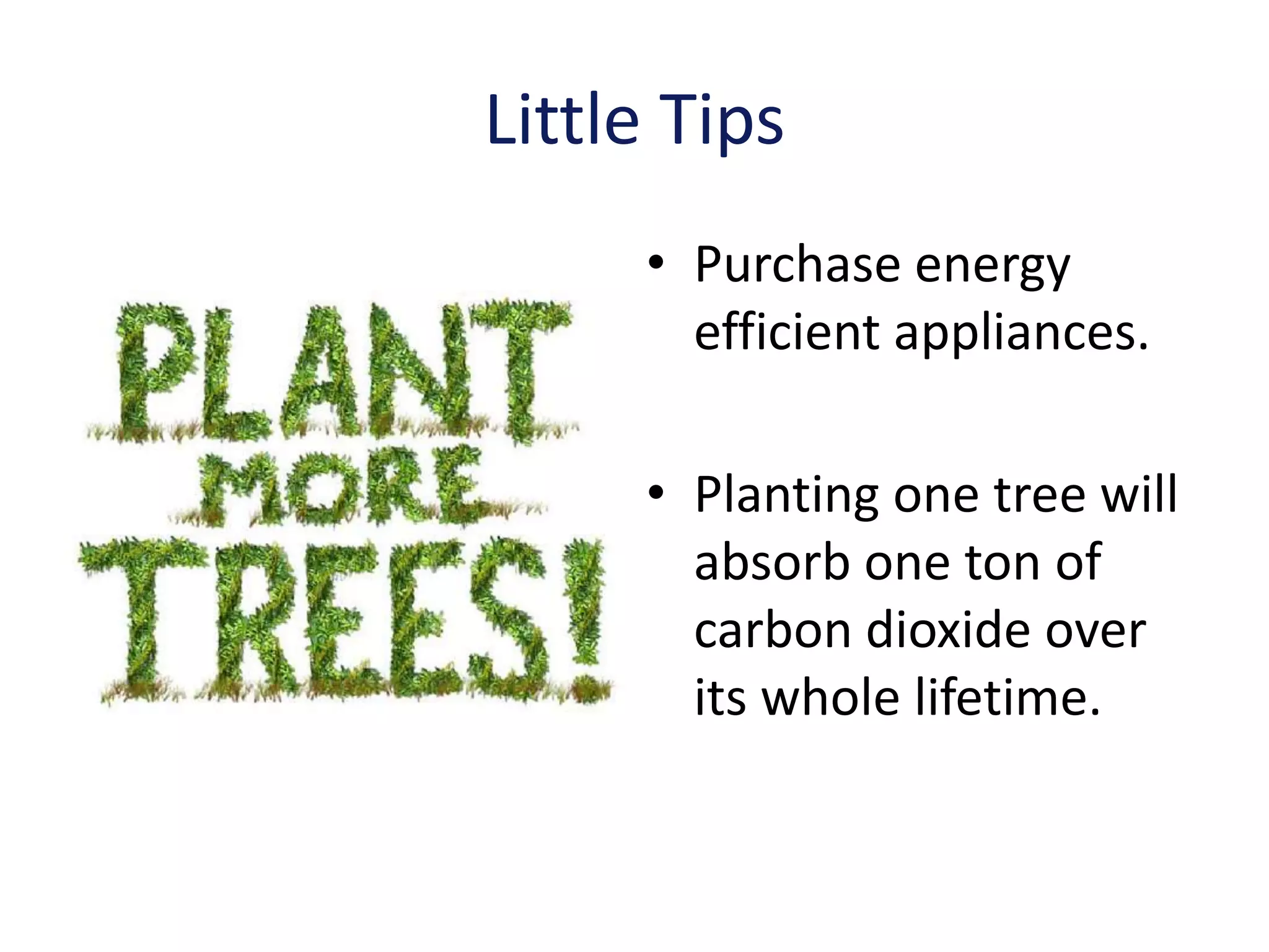 Little Tips
     • Purchase energy
       efficient appliances.

     • Planting one tree will
       absorb one ton of
       carbon dioxide over
       its whole lifetime.
 