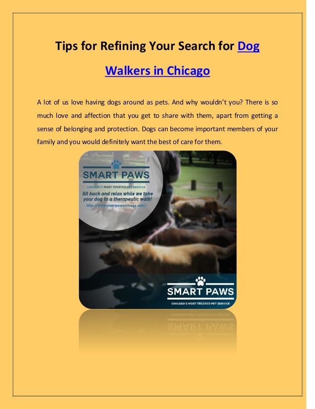 Tips for refining your search for dog walkers in chicago