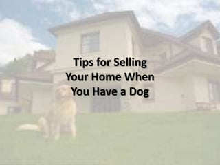 Tips for Selling
Your Home When
You Have a Dog
 