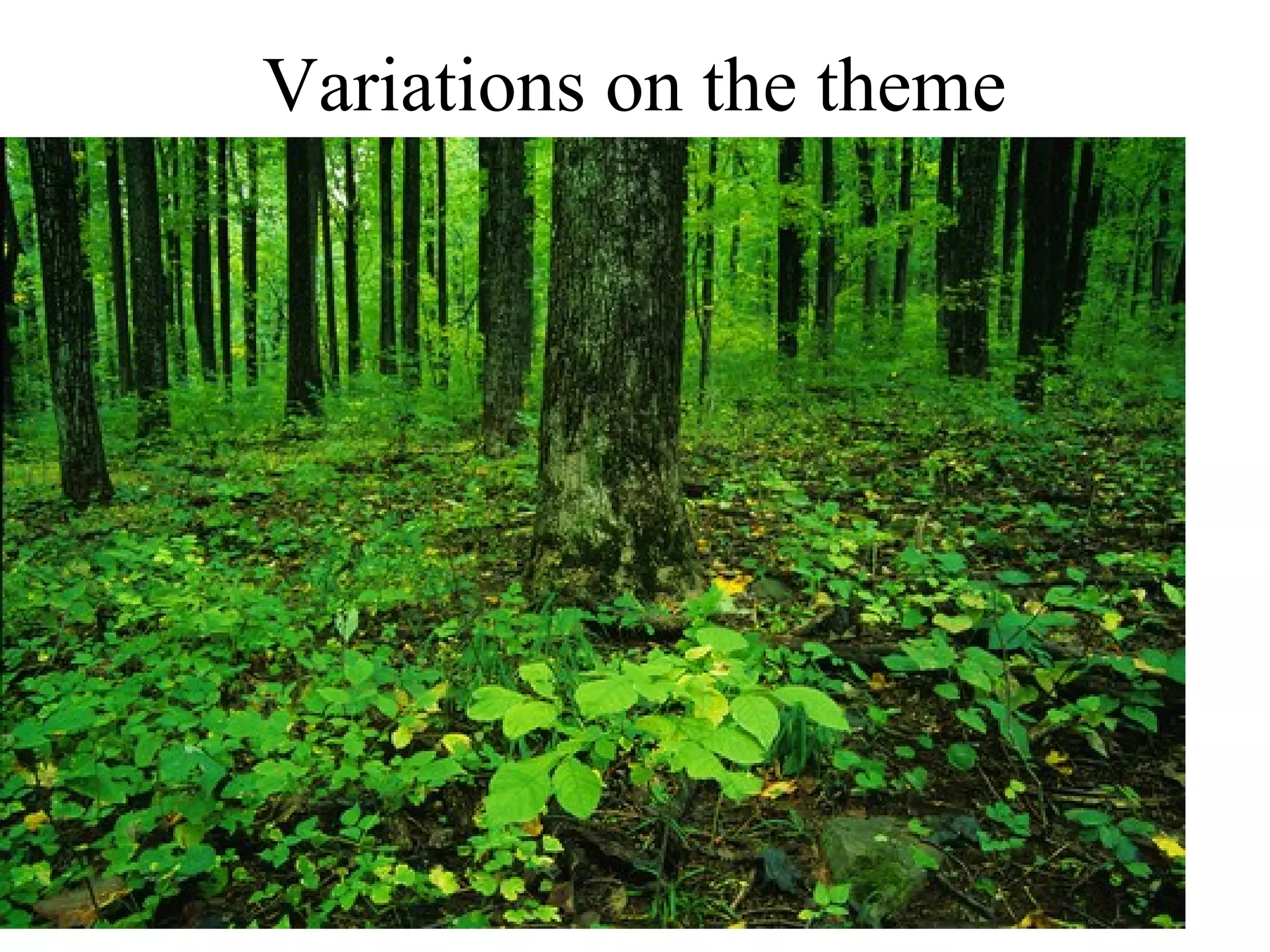 Variations on the theme