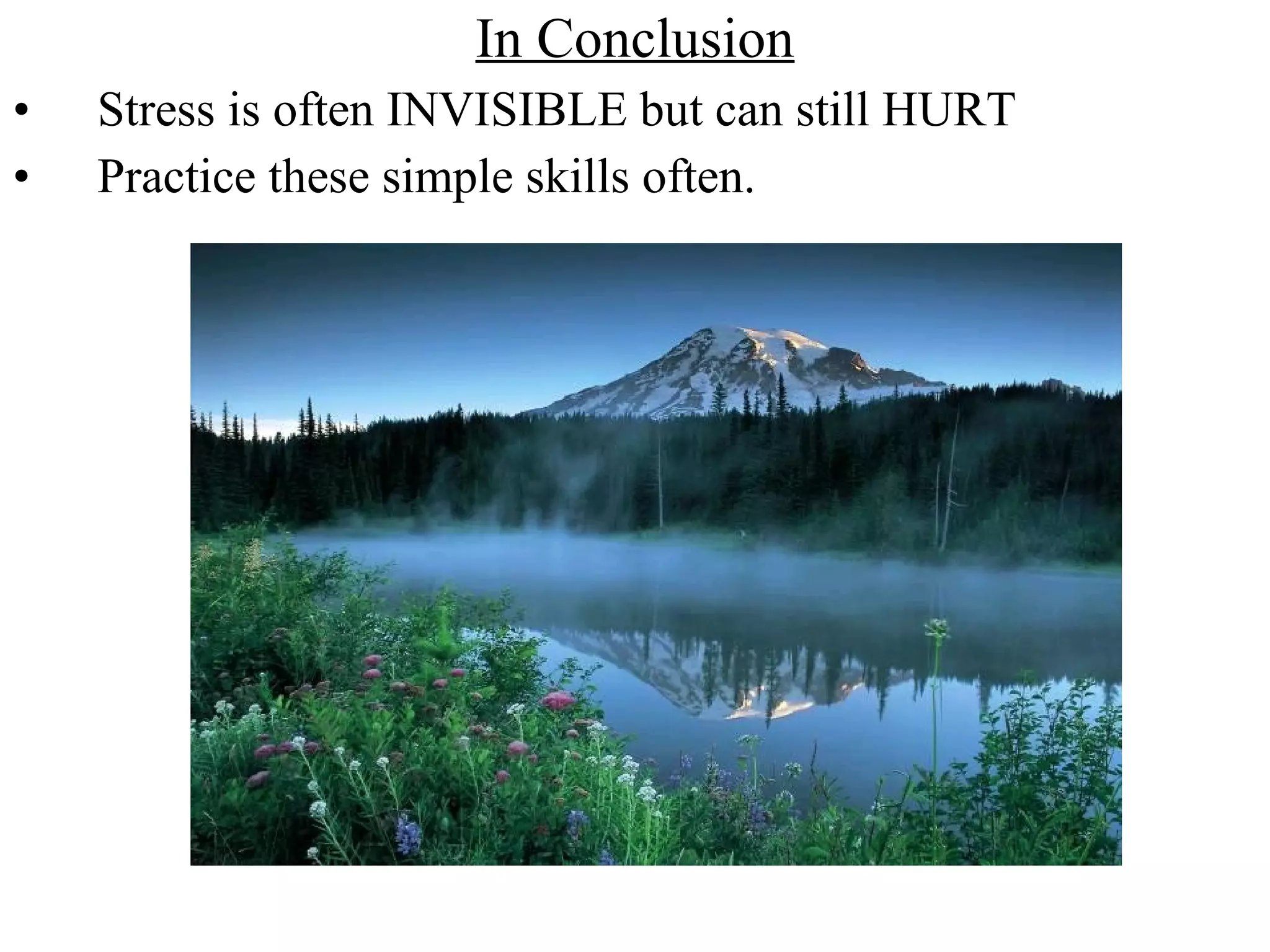 In Conclusion
• Stress is often INVISIBLE but can still HURT
• Practice these simple skills often.
