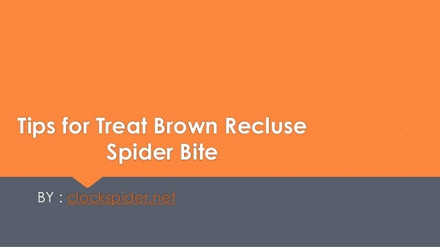Tips for treat brown recluse spider bite