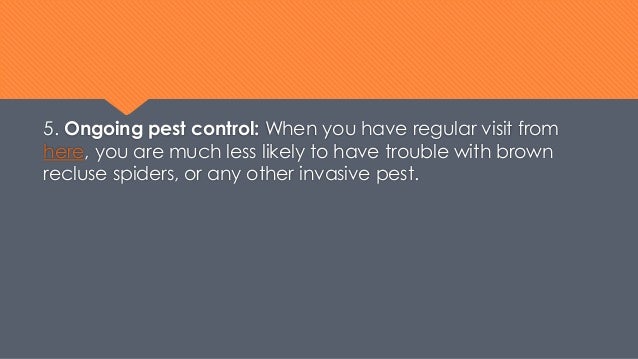 Tips for treat brown recluse spider bite