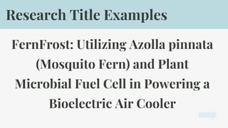 FernFrost: Utilizing Azolla pinnata
(Mosquito Fern) and Plant
Microbial Fuel Cell in Powering a
Bioelectric Air Cooler
Research Title Examples
 