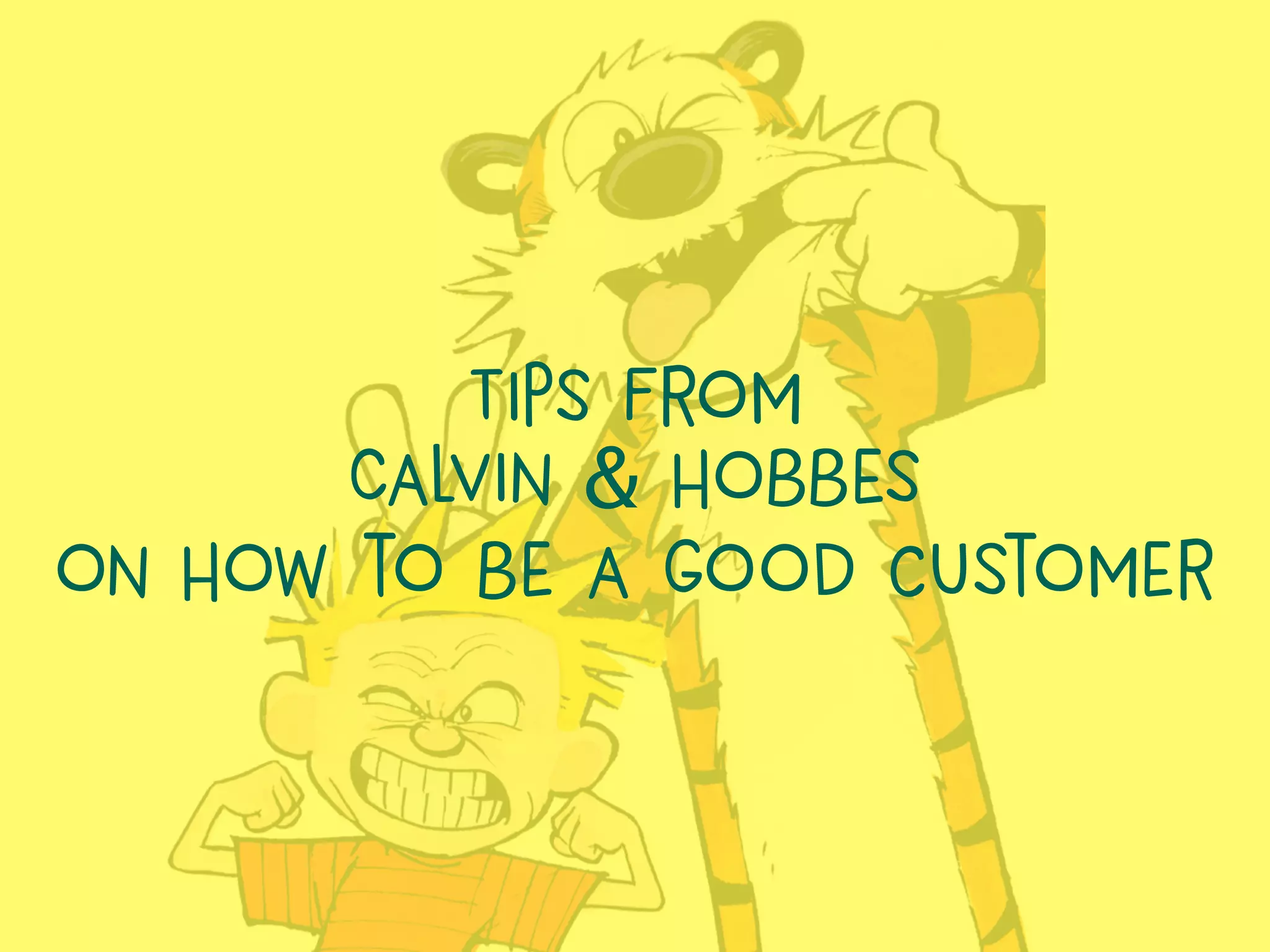 Tips from
Calvin & Hobbes
on How to be a good customer