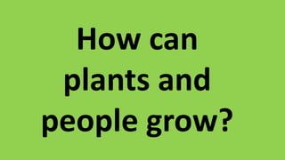 How can
plants and
people grow?
 