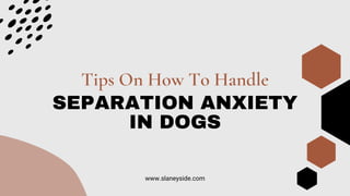 SEPARATION ANXIETY
IN DOGS
Tips On How To Handle
www.slaneyside.com
 