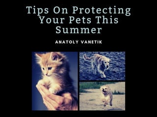 Tip On Protecting Your Pet This Summer