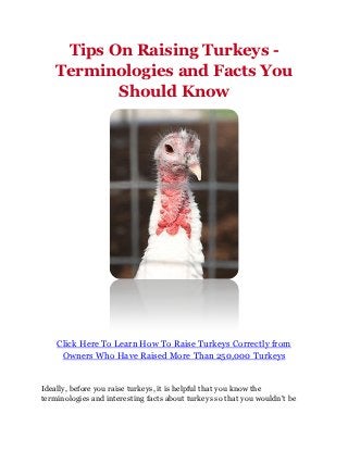 Tips On Raising Turkeys -
    Terminologies and Facts You
           Should Know




    Click Here To Learn How To Raise Turkeys Correctly from
     Owners Who Have Raised More Than 250,000 Turkeys


Ideally, before you raise turkeys, it is helpful that you know the
terminologies and interesting facts about turkeys so that you wouldn't be
 