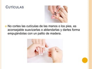 CUTÍCULAS
 No cortes las cutículas de las manos o los pies, es
aconsejable suavizarlas o ablandarlas y darles forma
empujándolas con un palito de madera.
 