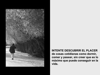 INTENTE DESCUBRIR EL PLACER de cosas cotidianas como dormir, comer y pasear, sin creer que es lo máximo que puede conseguir en la vida.   