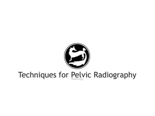 Techniques for Pelvic RadiographyRadiology
 