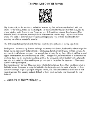 The Pros And Cons Of Ferrets
My ferrets dook, do the war dance, and skitter between my feet, and make my husband, kids, and I
smile. For my family, ferrets are excellent pets. My husband thinks they re better than dogs, and the
whole lot of us prefer ferrets to cats. Ferrets are very different from cats and dogs, however.Their
behavior, smell, motivations, and shape are all different from cats and dogs. They are classified as
exotic pets, and it is important that you consider the pros and cons of ferret parenthood before
adopting one of these wonderful weasels.
The differences between ferrets and other pets create the pros and cons of having a pet ferret
Intelligence: I hesitate to say that cats and dogs are smarter than ferrets, but I readily acknowledge that
ferrets have a significantly different kind of intelligence. Ferrets are pretty good problem solvers. As
an example, for Christmas one year, I put an apple in a stocking for my ferret. (The ferret liked to steal
apples and hide them. He didn t actually eat them.) The apple was just a tad smaller in diameter as the
stocking. Ernie put his head in the stocking, grabbed the apple, and pulled. It didn t work. After only
two tries he crawled out of the stocking and got on top of it. He pushed the apple out. ... Show more
content on Helpwriting.net ...
Ferrets are intensely curious. They must know what is behind closed doors. They must know what is
behind a barrier. They need to study the backside of a dishwasher and the inside of a sofa. If a ferret
somehow manages to get in your pots and pans cabinet, don t be surprised to find them later in with
your silverware. This tenacity makes it difficult to ferret proof and make your house safe for your
beloved
... Get more on HelpWriting.net ...
 