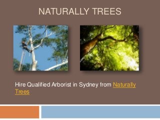 NATURALLY TREES
Hire Qualified Arborist in Sydney from Naturally
Trees
 
