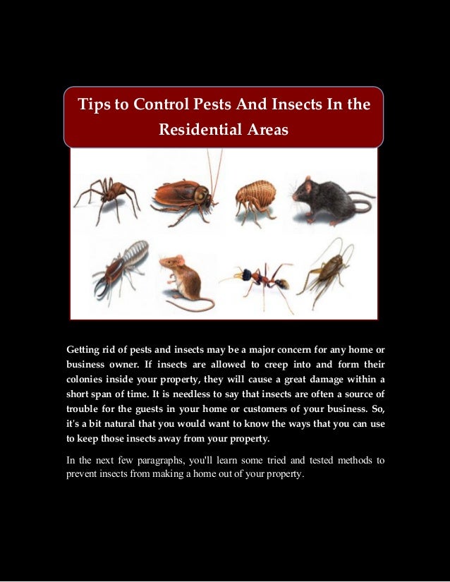 Tips to Control Pests And Insects In the Residential Areas
