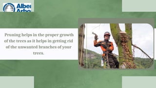 Pruning helps in the proper growth
of the trees as it helps in getting rid
of the unwanted branches of your
trees.
 