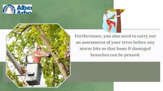 Furthermore, you also need to carry out
an assessment of your trees before any
storm hits so that loose & damaged
branches can be pruned.
 