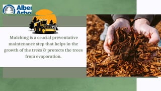 Mulching is a crucial preventative
maintenance step that helps in the
growth of the trees & protects the trees
from evaporation.
 