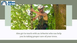 Also get in touch with an Arborist who can help
you in taking proper care of your trees.
 