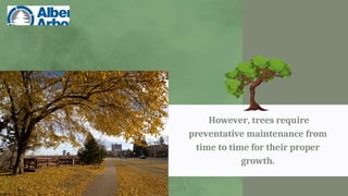 However, trees require
preventative maintenance from
time to time for their proper
growth.
 