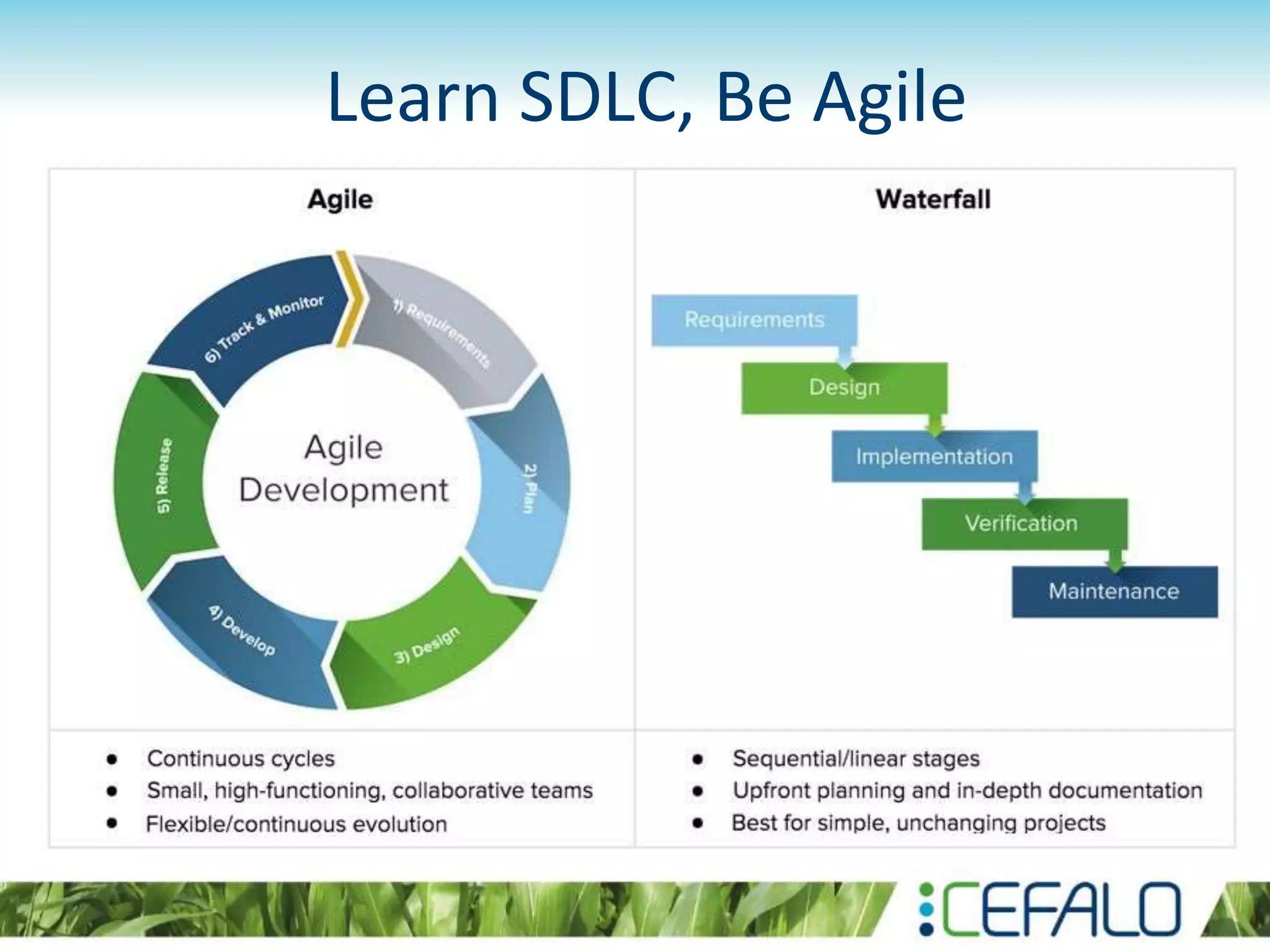 Learn SDLC, Be Agile
 