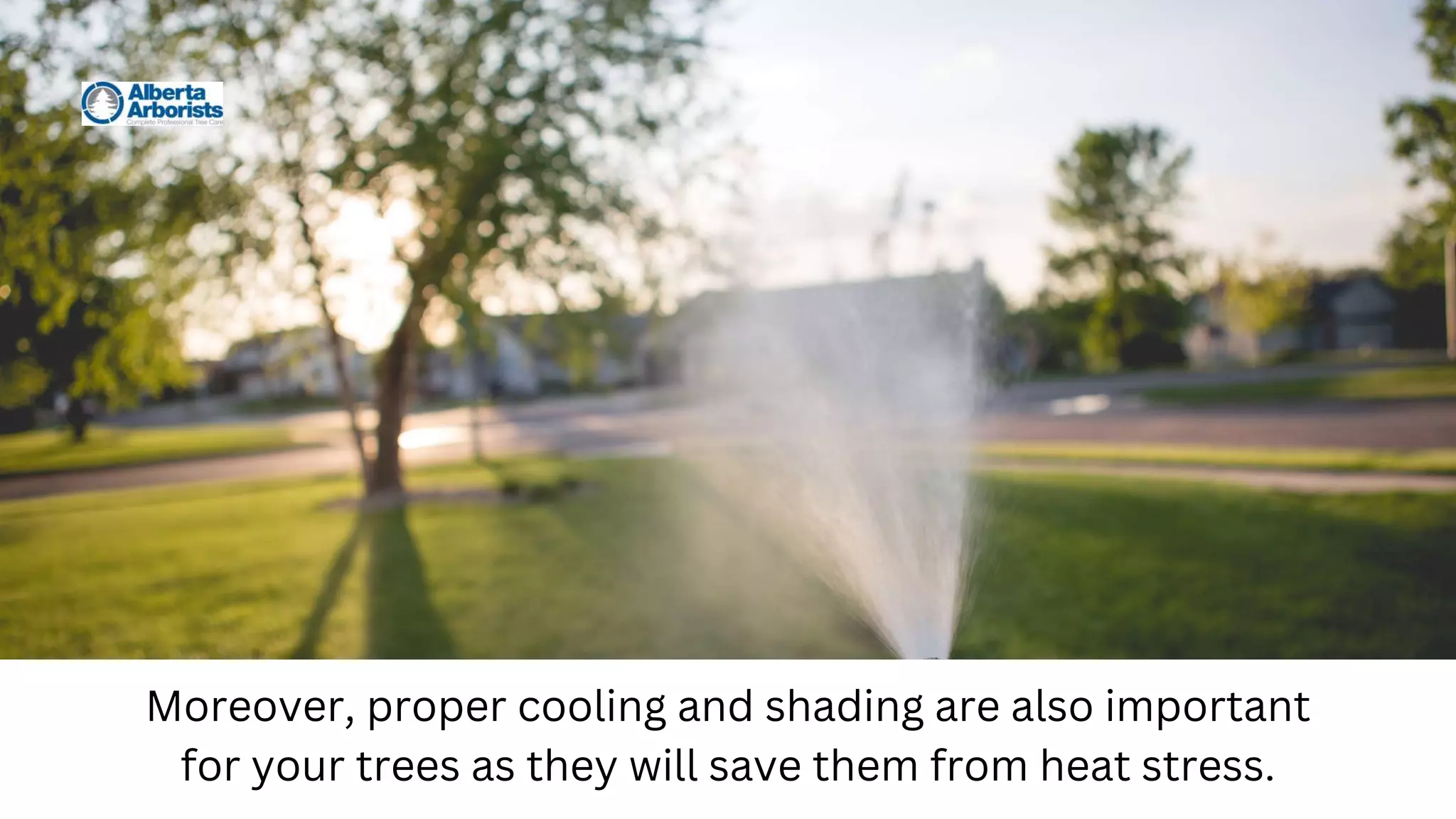 Moreover, proper cooling and shading are also important
for your trees as they will save them from heat stress.
 