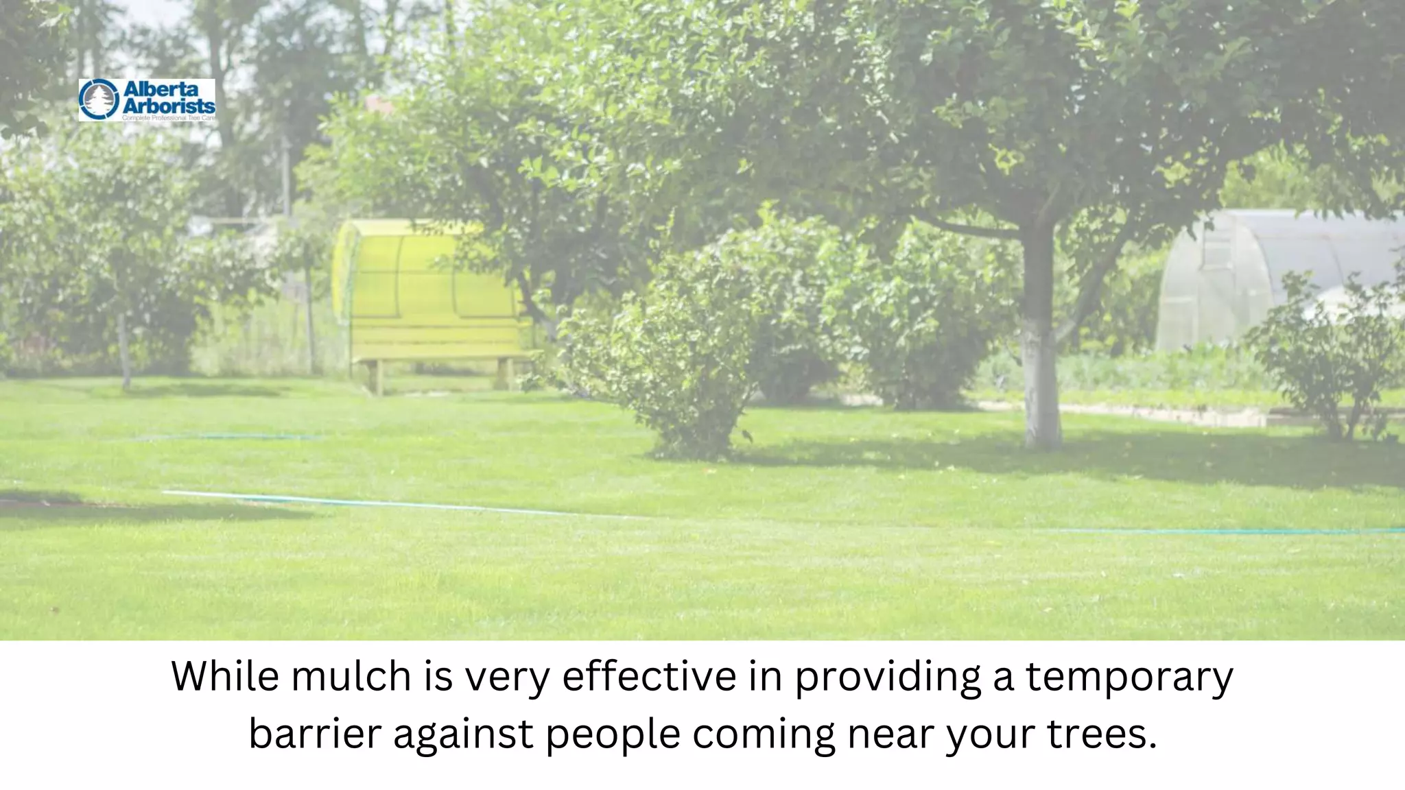While mulch is very effective in providing a temporary
barrier against people coming near your trees.
 