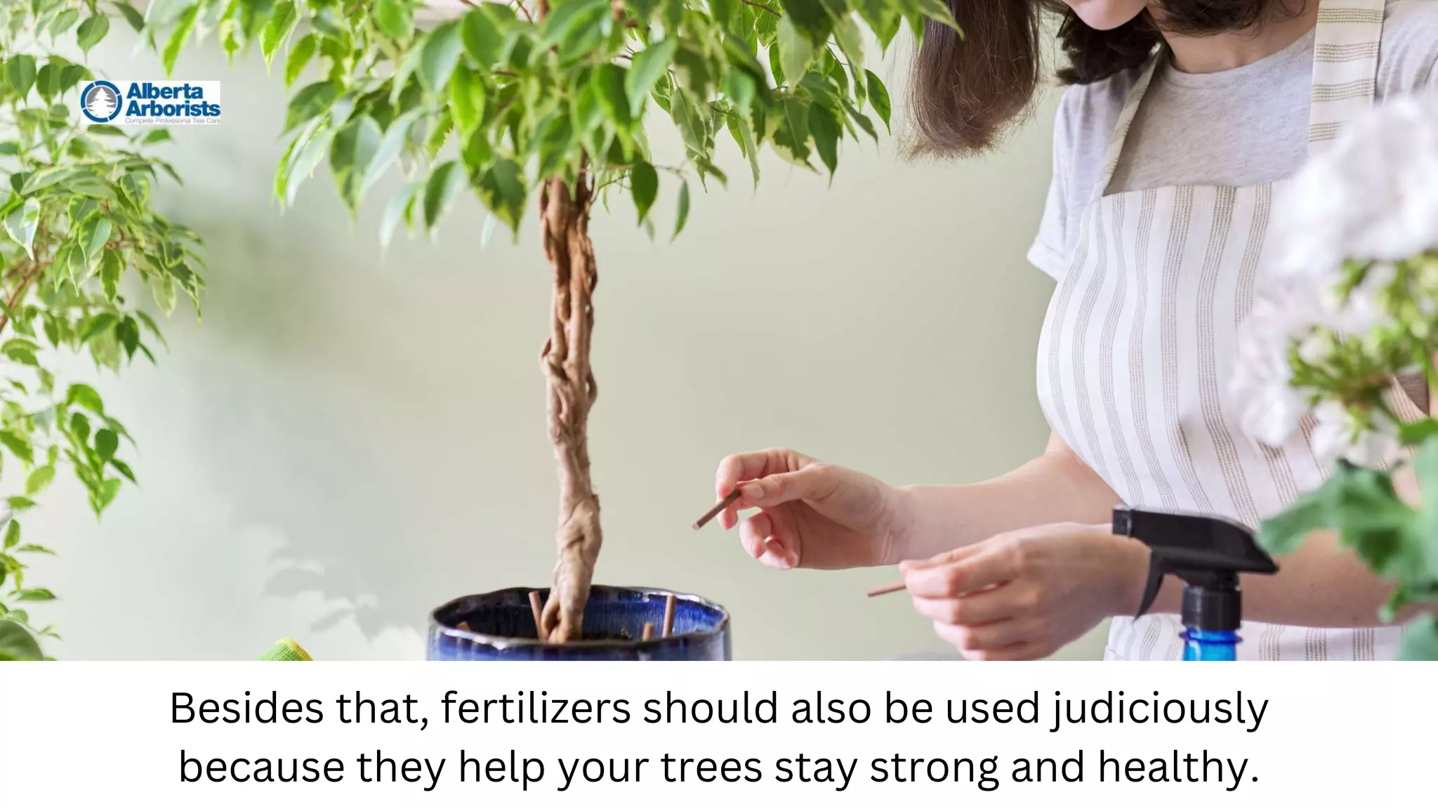 Besides that, fertilizers should also be used judiciously
because they help your trees stay strong and healthy.
 