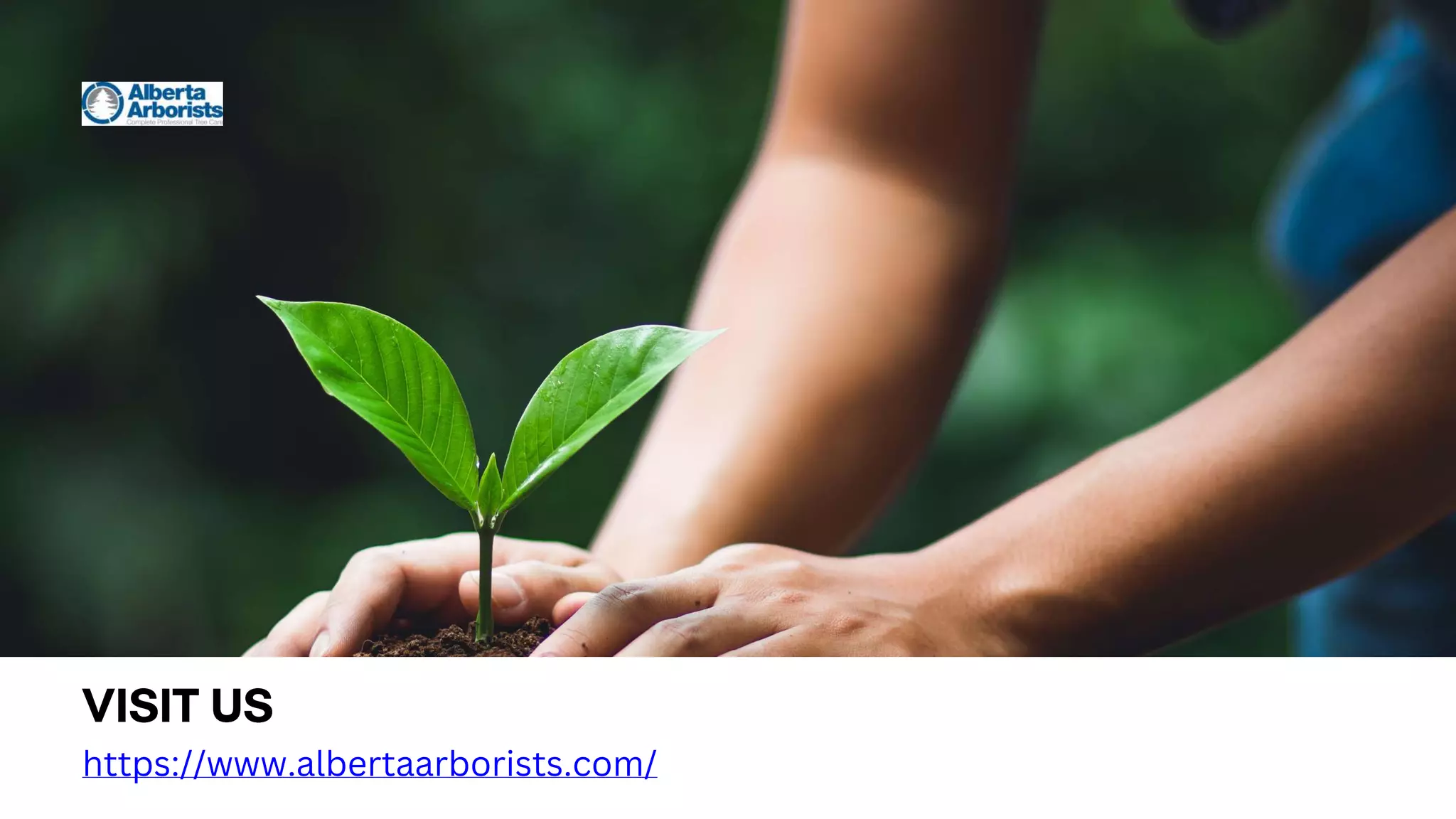 https://www.albertaarborists.com/
 