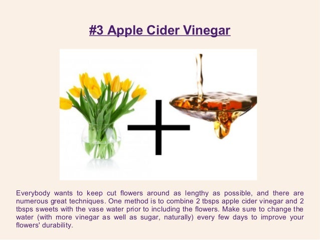 Tips To Make Flowers Last Longer Using 6 Household Ingredients!! Tips To Make Flowers Last Longer Using 6 Household Ingredients!!