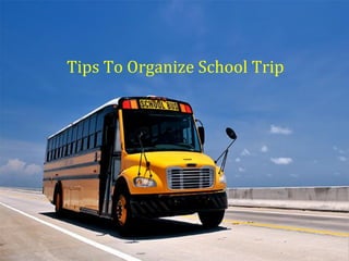 Tips To Organize School Trip
 