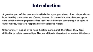 Introduction To Color Vision Educate Yourself On Colour Blindness | PDF