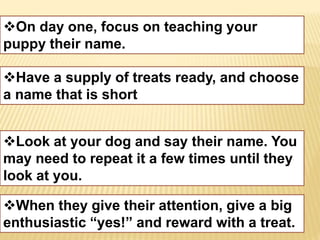 On day one, focus on teaching your 
puppy their name. 
Have a supply of treats ready, and choose 
a name that is short 
Look at your dog and say their name. You 
may need to repeat it a few times until they 
look at you. 
When they give their attention, give a big 
enthusiastic “yes!” and reward with a treat. 
 