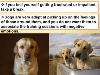 If you feel yourself getting frustrated or impatient, 
take a break. 
Dogs are very adept at picking up on the feelings 
of those around them, and you do not want them to 
associate the training sessions with negative 
emotions. 
 