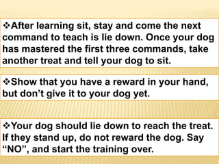 After learning sit, stay and come the next 
command to teach is lie down. Once your dog 
has mastered the first three commands, take 
another treat and tell your dog to sit. 
Show that you have a reward in your hand, 
but don’t give it to your dog yet. 
Your dog should lie down to reach the treat. 
If they stand up, do not reward the dog. Say 
“NO”, and start the training over. 
 