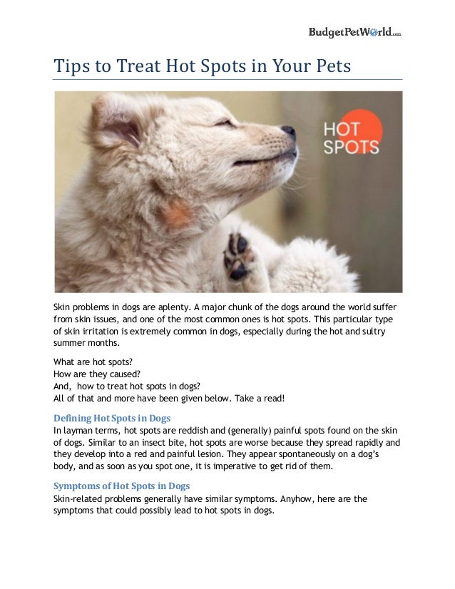 dog skin problems hot spots